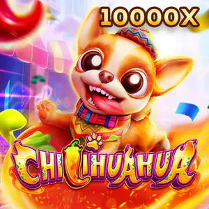 Fachai Chihuahua Portrait