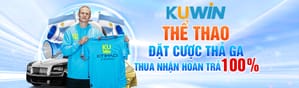 Giao diện mơ mộng như cổ tích